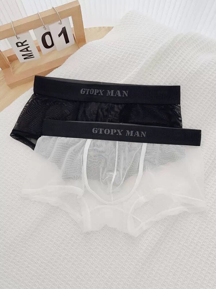 Men's Sexy Ultra-Thin Sheer Ice Silk Mesh Underwear