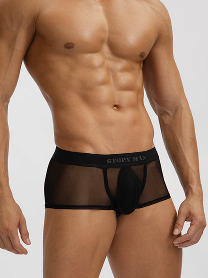 Men's Sexy Ultra-Thin Sheer Ice Silk Mesh Underwear