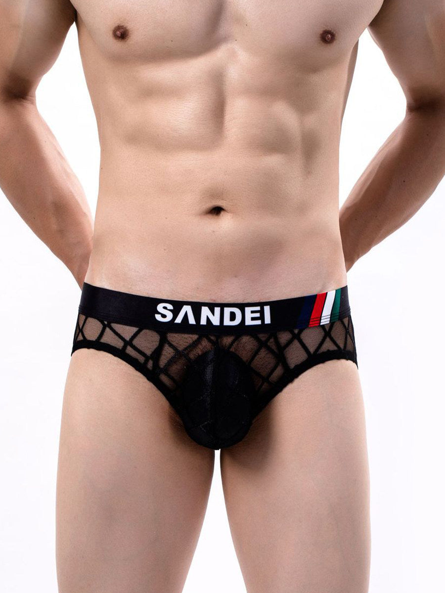 Men's Sexy Sheer Mesh Briefs