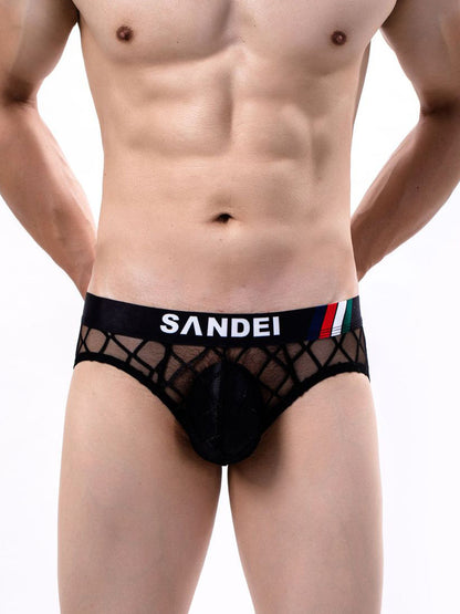 Men's Sexy Sheer Mesh Briefs