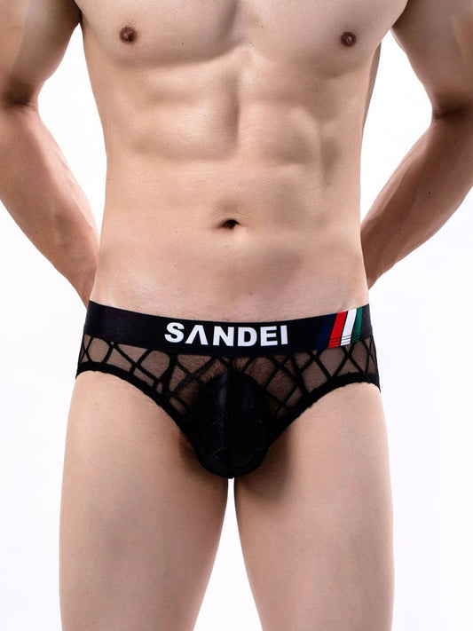 Men's Sexy Sheer Mesh Briefs