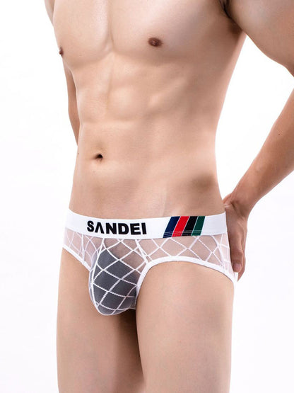 Men's Sexy Sheer Mesh Briefs