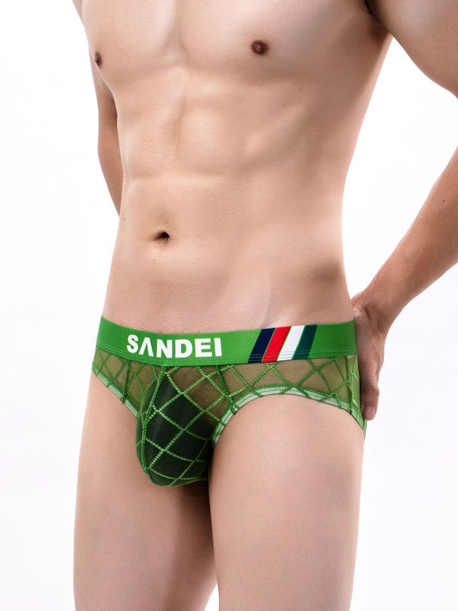 Men's Sexy Sheer Mesh Briefs