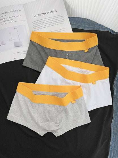 Men's Pure Cotton Low-rise Sexy Comfortable Breathable Simple Underwear