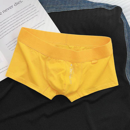 Men's Pure Cotton Low-rise Sexy Comfortable Breathable Simple Underwear