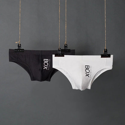 Mens Cotton Briefs Low Waist Bikini Panties Pouch Breathable Underwear
