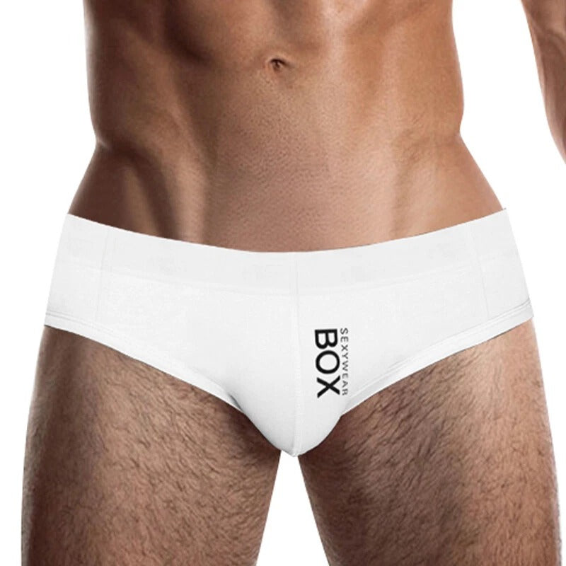 Mens Cotton Briefs Low Waist Bikini Panties Pouch Breathable Underwear