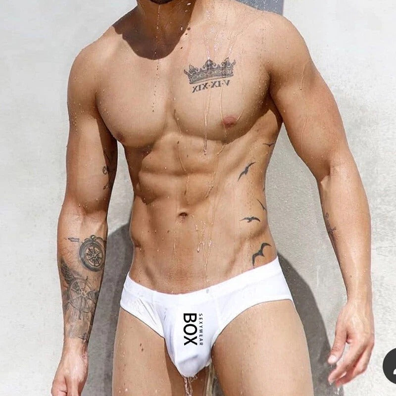 Mens Cotton Briefs Low Waist Bikini Panties Pouch Breathable Underwear