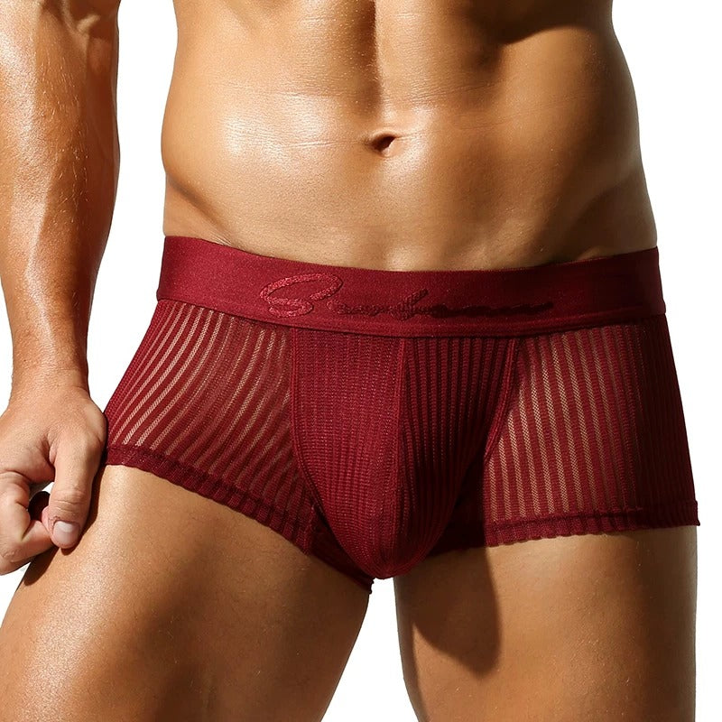 QS Semi-transparent Mesh Striped Sexy Boxer Briefs