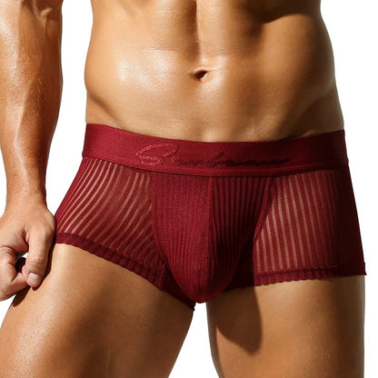 QS Semi-transparent Mesh Striped Sexy Boxer Briefs